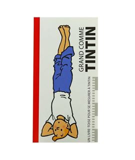 MEDIDOR TINTÍN - FRANCÉS YOGA - 24334